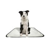 Tapete Pet Reutilizável Educador Dog Oferta 2 Un M1 70x100cm