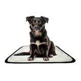 Tapete Pet Reutilizável Adestrador Dog Oferta 5 Un P 50x60cm