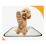 Banheiro Canino Lavável Pet Em Oferta 1un P 50x60cm