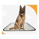 Banheiro Animal Lavável Pet Em Oferta 3un G 90x100cm