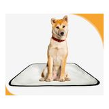 Tapete Pet Lavável Prático Em Oferta 2 Un M - 60x80 Cm