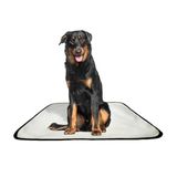Tapete Pet Reutilizável Adestrador Dog Oferta 5un G1 100x120