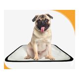Tapete Pet Lavável Prático Em Oferta 10 Un P1 50x70cm