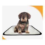 Tapete Para Cães Higiênico Em Oferta 3 Un Pp 40x50cm