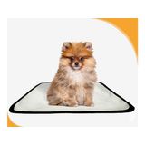 Tapete Pet Lavável Adestramento Em Oferta 1 Un Pp 40x50cm