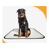 Tapete Para Cães Higiênico Em Oferta 2 Un G2 120x120cm