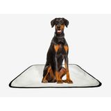 Tapete Pet Lavável Adestramento Em Oferta 1 Un M1 70x100 Cm