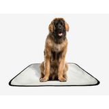 Tapete Pet Reutilizável Educador Dog Oferta 7un G2 120x120cm