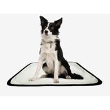Tapete Pet Reutilizável Educador Dog Oferta 7 Un P1 50x70cm