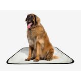 Tapete Pet Reutilizável Educador Dog Oferta 7un G1 100x120cm