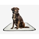 Tapete Pet Lavável Adestramento Em Oferta 4 Un M - 60x80 Cm