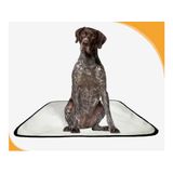 Tapete Para Pets Lavável Canino Em Oferta 3 Un G 90x100cm