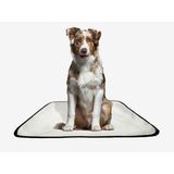 Tapete Pet Reutilizável Adestramento Oferta 10un M 60x80 Cm