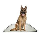 Tapete Pet Reutilizável Adestrador Dog Oferta 10un G 90x100