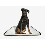 Tapete Pet Reutilizável Educador Dog Oferta 7 Un G 90x100cm