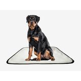Tapete Pet Lavável Adestramento Em Oferta 10 Un G2 120x120cm