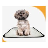Tapete Pet Lavável Adestramento Em Oferta 2 Un P 50x60cm