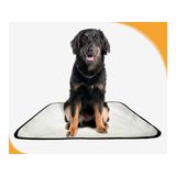 Tapete Para Pets Lavável Em Oferta 2 Un M 60x80 Cm