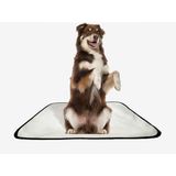 Tapete Pet Lavável Adestramento Em Oferta 4 Un G1 100x120cm