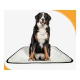 Tapete Pet Lavável Prático Em Oferta 10 Un G2 120x120cm