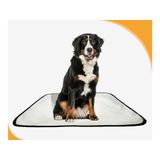 Tapete Para Cães Reutilizável Em Oferta 2 Un M1 70x100 Cm