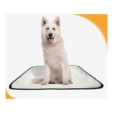 Tapete Para Cães Higiênico Em Oferta 3 Un M 60x80 Cm