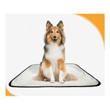 Tapete Pets Lavável Canino Em Oferta 5 Un M - 60 X 80 Cm
