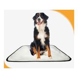 Tapete Pet Lavável Prático Em Oferta 10 Un G 90x100cm