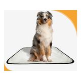 Tapete Para Pets Lavável Em Oferta 10 Un G 90x100cm