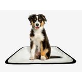 Tapete Pet Reutilizável Educador Dog Oferta 5 Un P 50x60cm