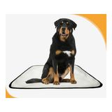 Tapete Pet Lavável Prático Em Oferta 1 Un G1 100x120cm