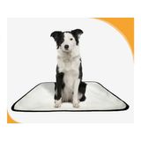 Tapete Pet Lavável Prático Em Oferta 3 Un M1 70x100 Cm