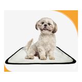 Tapete Para Cães Reutilizável Em Oferta 5 Un P1 50x70cm