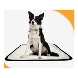 Tapete Pet Lavável Adestramento Em Oferta 5 Un P1 50x70cm