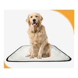 Tapete Para Pets Lavável Em Oferta 5 Un G2 120x120cm