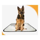 Tapete Canino Pet Estratégico Em Oferta 10 Un G 90x100cm
