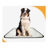 Tapete Para Pets Lavável Em Oferta 1 Un M1 70x100 Cm