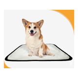 Tapete Para Cães Reutilizável Em Oferta 1 Un Pp 40x50cm