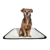 Tapete Pet Impermeável Educador Dog Oferta 7 Un Pp 40x50cm
