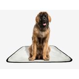 Tapete Pet Reutilizável Adestramento Oferta 7 Un G 90x100cm