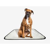 Tapete Pet Lavável Adestramento Em Oferta 2 Un G 90x100cm