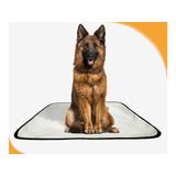 Tapete Pet Higiênico Prático Estratégico 4 Un G 90x100cm