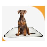 Tapete Para Cães Reutilizável Em Oferta 5 Un M 60x80 Cm
