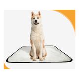 Tapete Para Pets Estratégico Em Oferta 5 Un G 90x100cm
