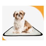 Tapete Para Cães Reutilizável Em Oferta 10 Un P 50x60cm