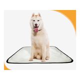 Tapete Para Cães Higiênico Em Oferta 2 Un G1 100x120cm