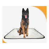 Tapete Para Pets Estratégico Em Oferta 1 Un M 60x80 Cm