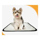Banheiro Animal Lavável Pet Em Oferta 3un P 50x60cm