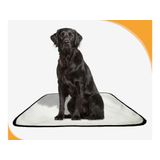 Tapete Pet Lavável Higiênico Estratégico 2 Un G 90x100cm