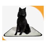 Tapete Higiênico Lavável Pet Em Oferta Kit 2un M 60x80 Cm
